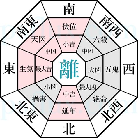 離命|八遊星 